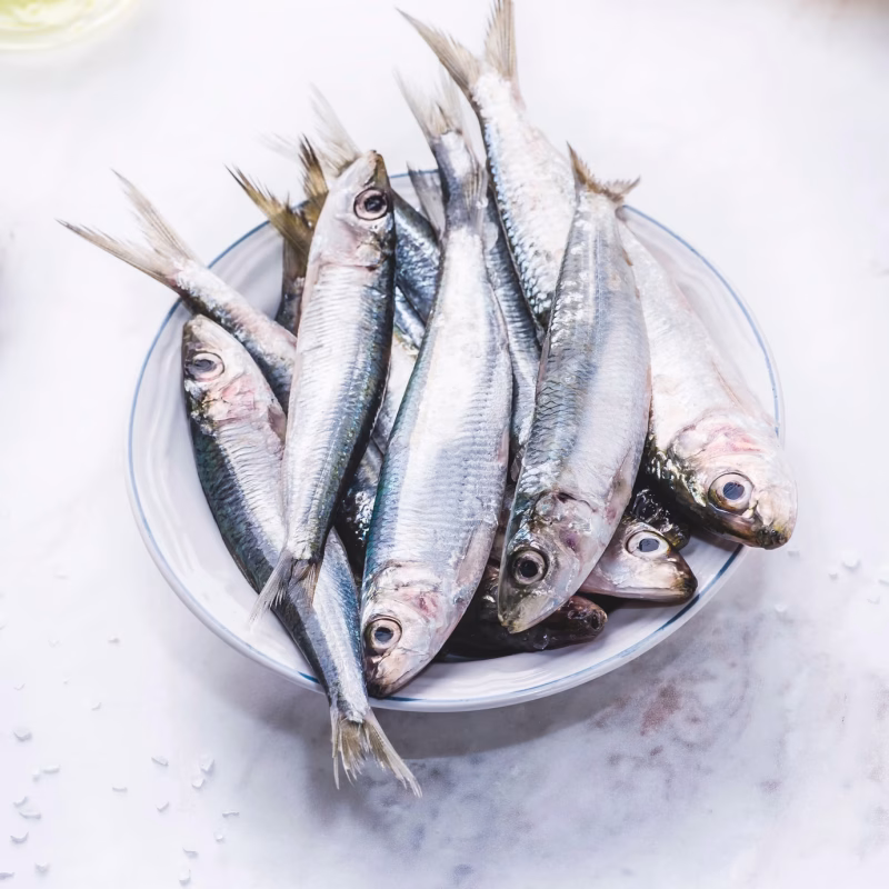 xvTsMChwotV4g3lew40WYStAo